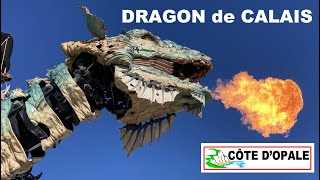 Dragon de Calais - Côte d'Opale