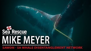 Nsri Mike Meyer Sawdn