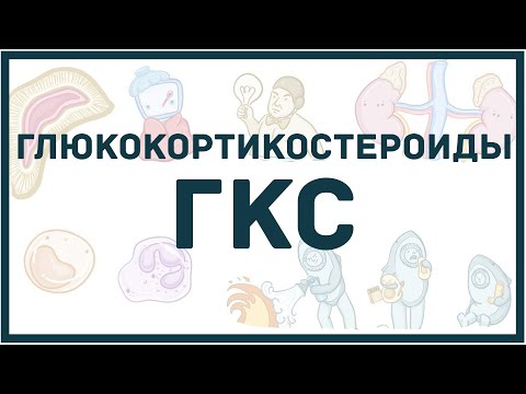 Глюкокортикостероиды - классификация, механизм действия, показания, побочные эффекты, мнемоника