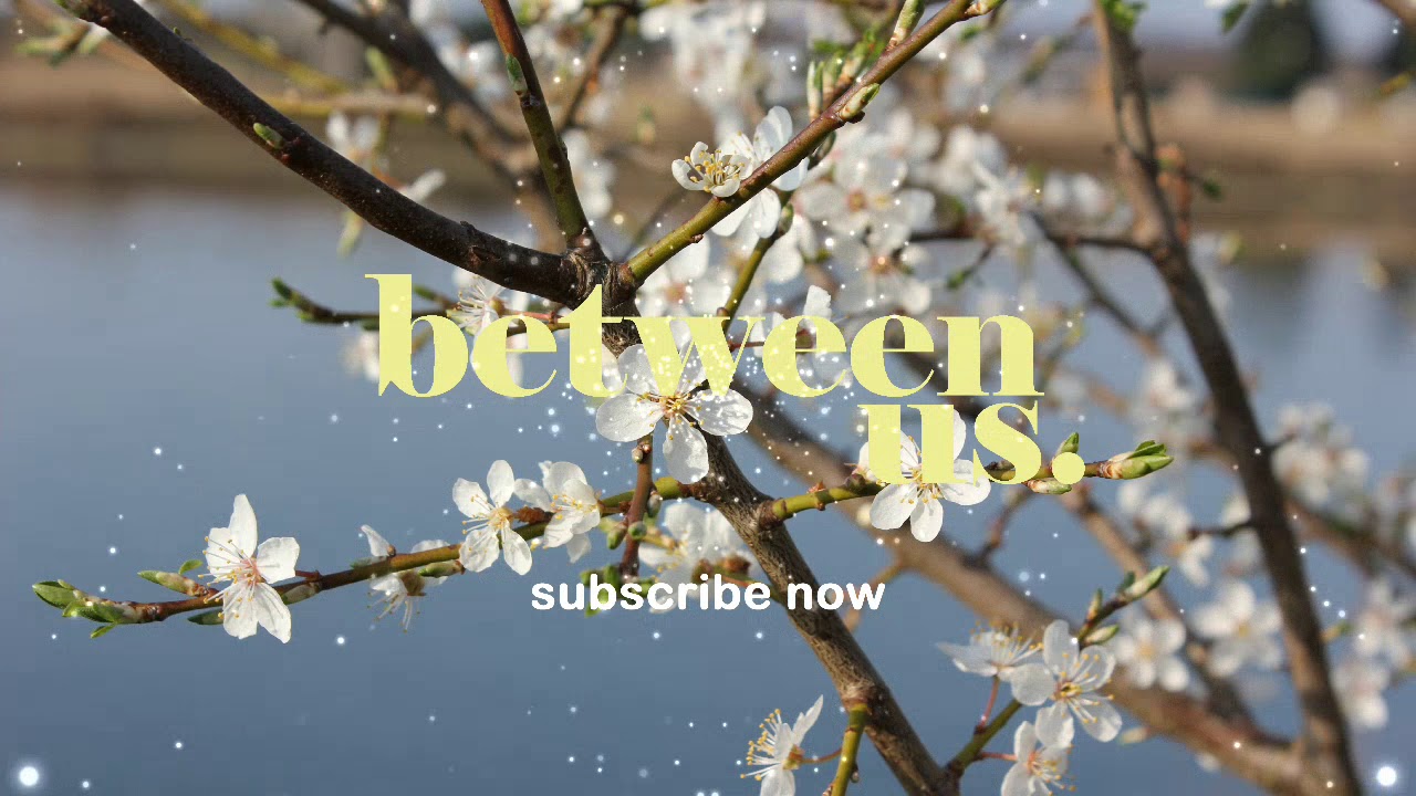 🎵 [FREE] SPRING FIELD – GODMODE 🎧 (VLOG NO COPYRIGHT MUSIC) - YouTube