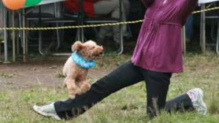 091025 kinuta.wmv