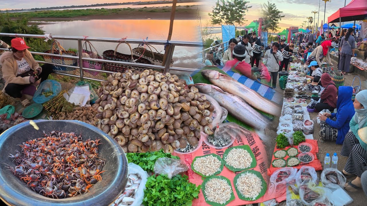 #food ไข่มดแดง ปลาไฮ่ ปลานา ปลาโขง  #อาหารพื้นบ้าน ตลาดนัดไทย-ลาว อ.ธาตุพนม จ.นครพนม