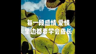 201903 每一段感情　爱情里边都要学会成长51087