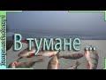 Зимняя рыбалка в туман - на окуня в Воронежской области