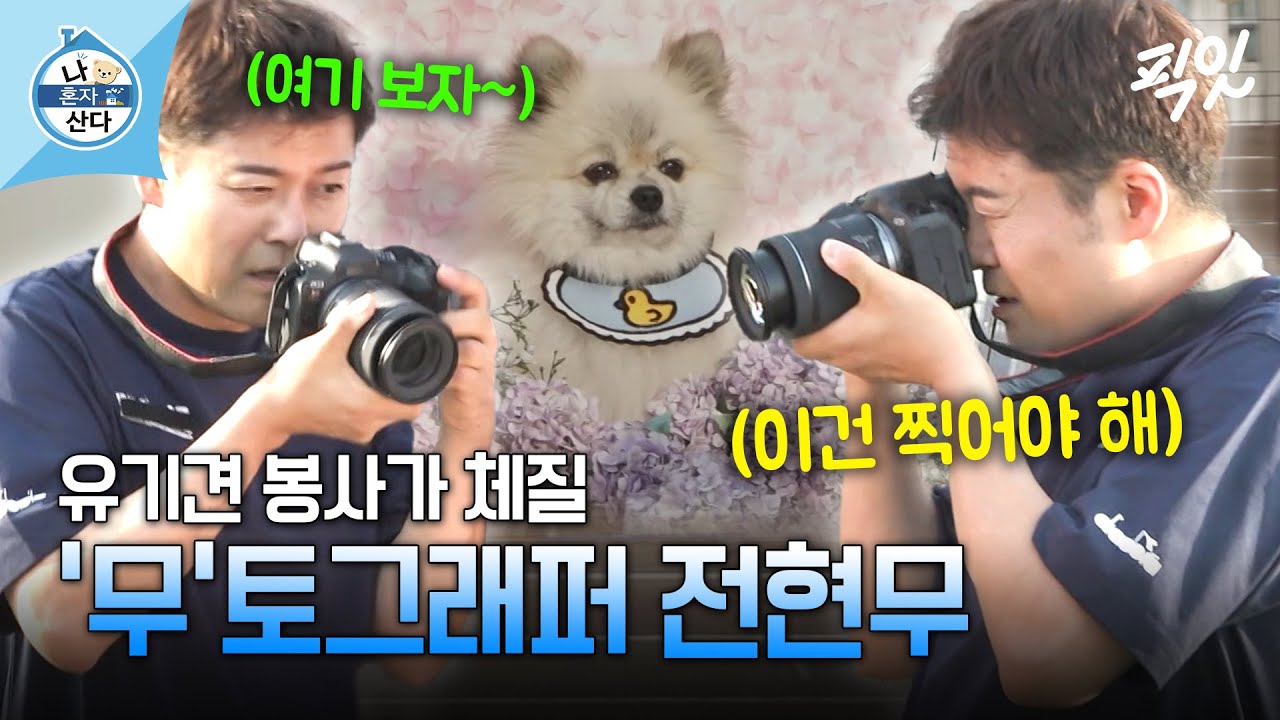 [나혼자산다] ＂시켜줘.. 명예 포토그래퍼＂ 반려견 교육 센터 방문한 전현무 MBC240524방송