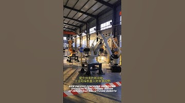 The future vision of industrial palletizing robots #robotautomation #industrialrobots