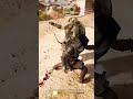 She’s ahead of me (not for long though)#assassinscreedodyssey #assassinscreed #gaming #gamingshorts