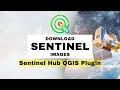 Sentinel hub qgis plugin  download copernicus satellite imagery sentinel 1235 in qgis