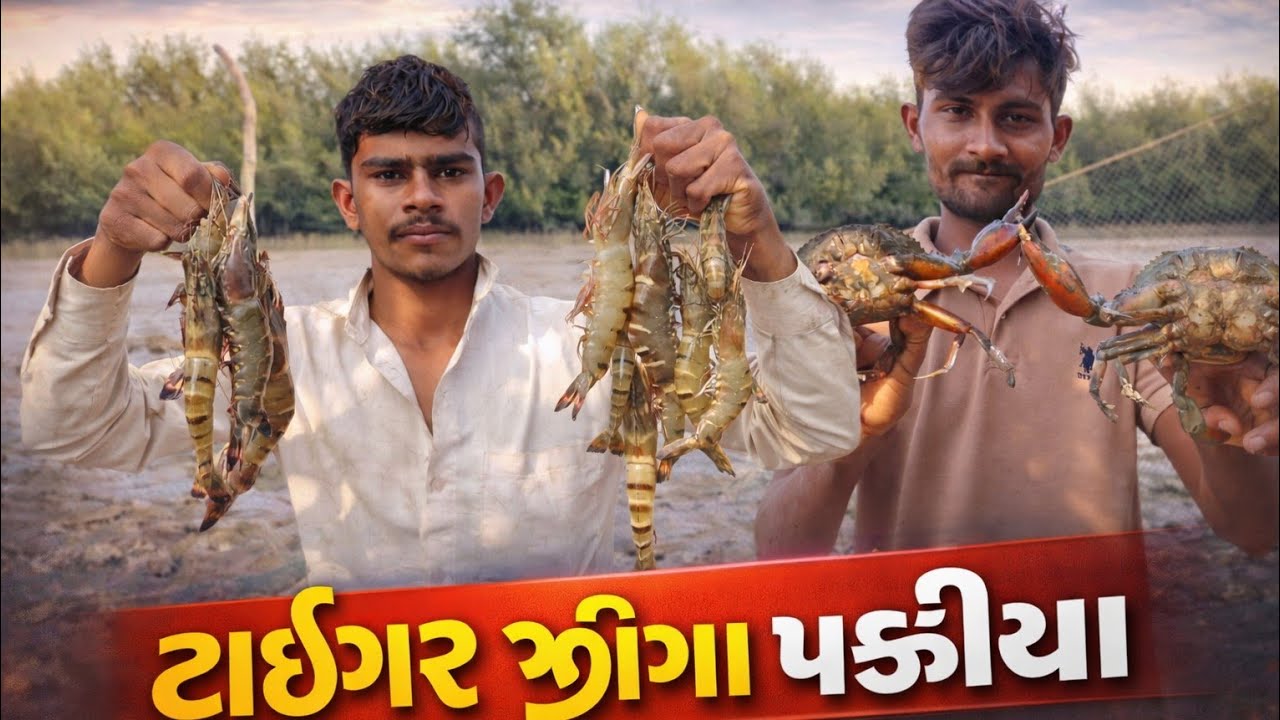 ટાઇગર જીંગા ને કરસલા બૌયા ફીસ 🦈🦀🦐