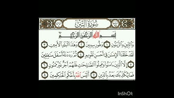 سورة التين الشيخ ناصر القطامي  .