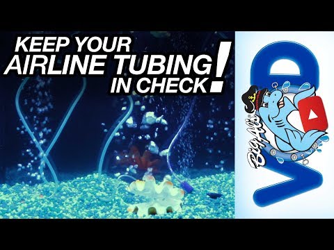 Keep Your Airline Tubing in Check! | BigAlsPets.com