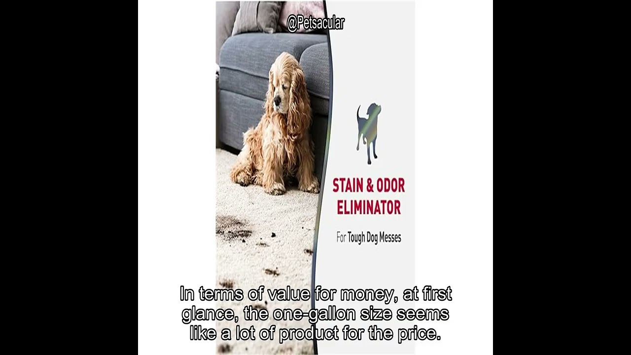 Обзор средства Nature’s Miracle Advanced Stain & Odor Eliminator: действительно ли оно справляетс...