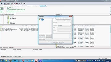 How to use FTP with 1and1.com FireFTP FileZilla
