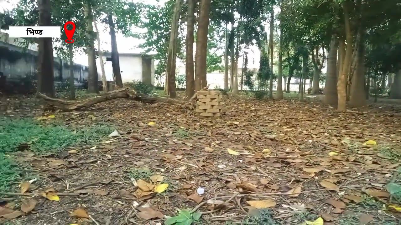 नगर पालिका की लापरवाही उजागर, बोले मलखान सिंह भदौरिया – स्वच्छता का बोर्ड लगाकर शहर साफ नहीं होगा”