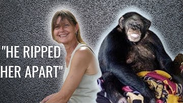 Chilling 911 Call: The Full Story of the 2009 Chimp Attack | Travis the Chimp and Charla Nash