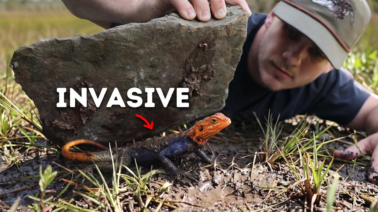 72 Hours Flipping Everything in the Everglades!