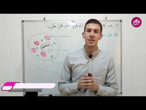 مكونات الدم و دور كل مكون الأستاذ ربيعي نبيل 4 متوسط