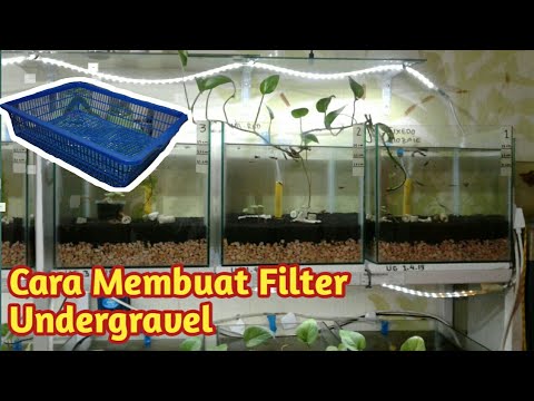 Cara Memasang Undergravel Filter Aquarium - FRESHWATER TANKS