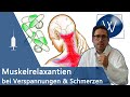 Muskelrelaxanzien bei chronischen Schmerzen & Verspannungen - Tolperison, Tizanidin & Methocarbamol