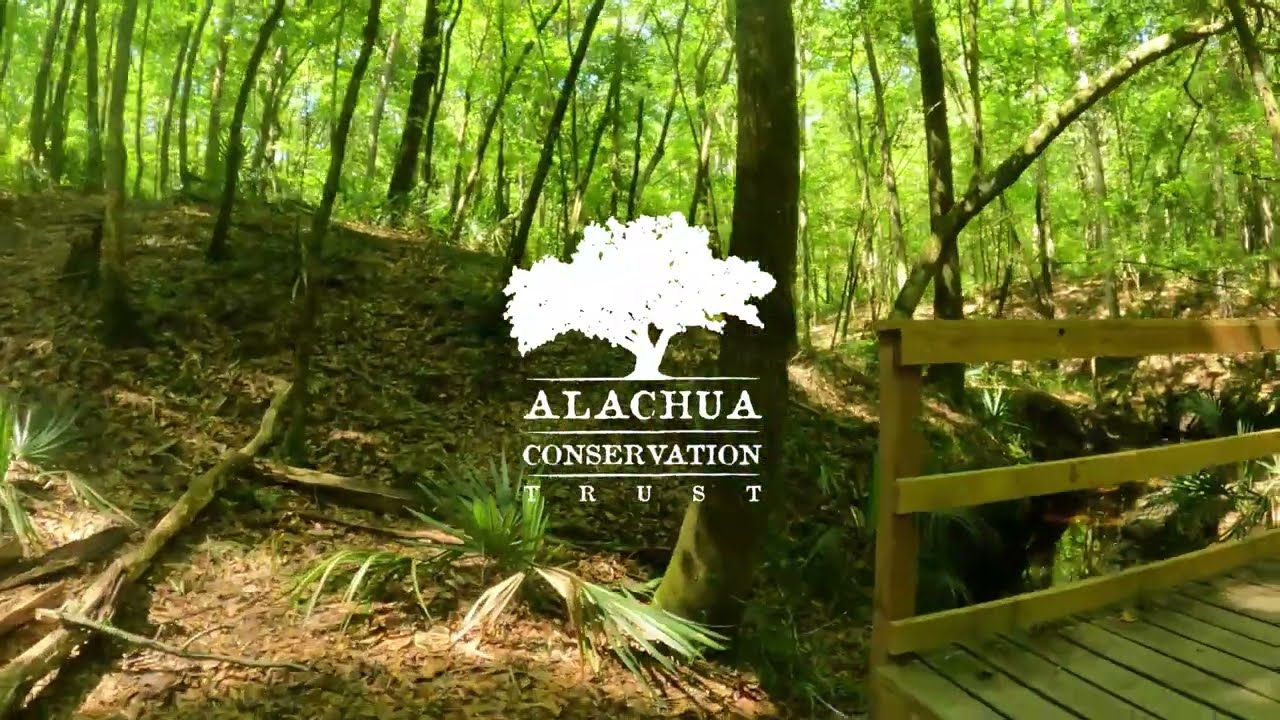 Blues Creek Ravine Blue Trail