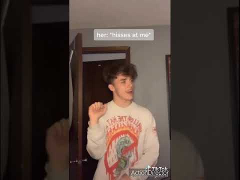 WALK IT BACK TIK TOK COMPILATION