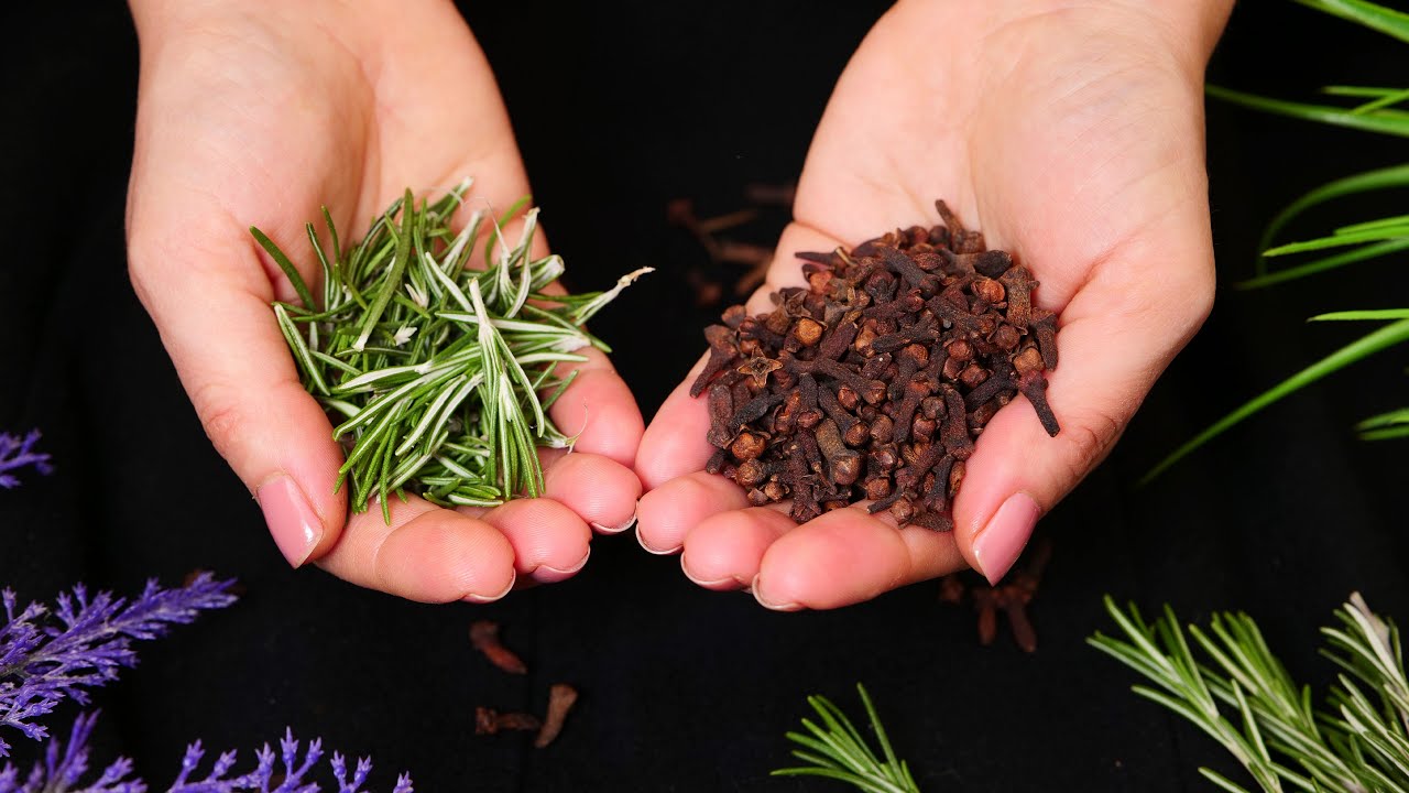 Cuts cough like a knife 💯 Best natural remedy for bronchitis and