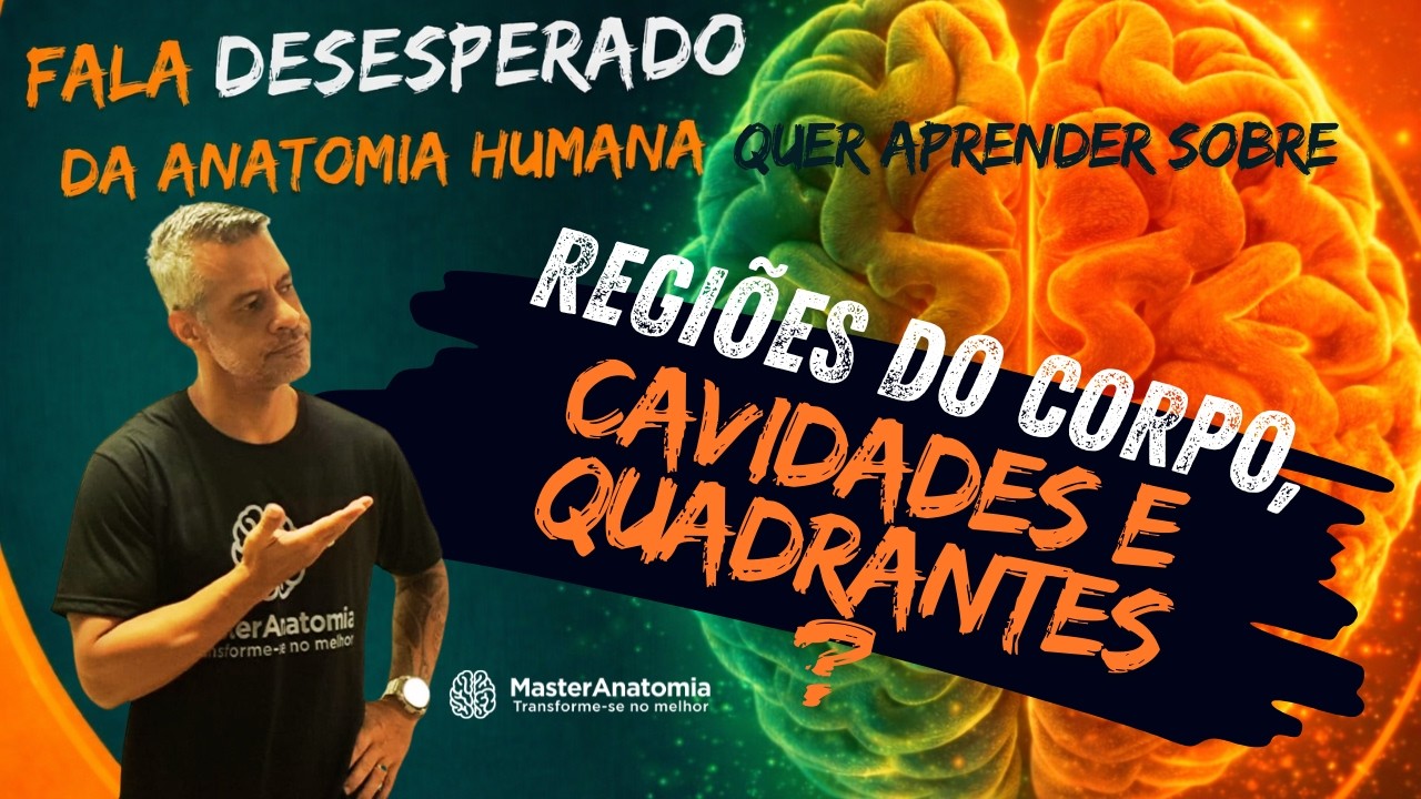 Aula 5   Partes, cavidades e quadrantes