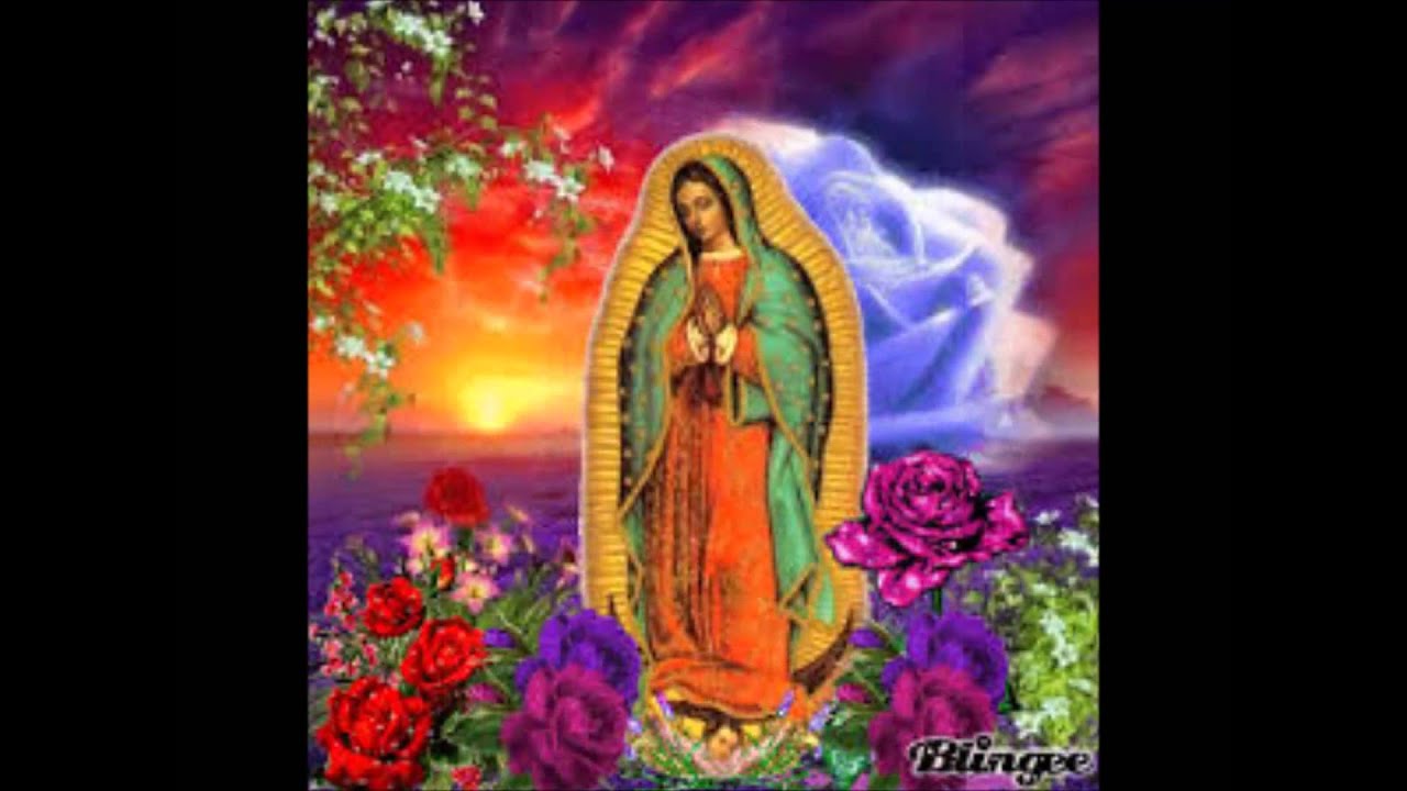 10+ ideas de Virgen de Guadalupe Hermosa | virgen de guadalupe, guadalupe,  virgen