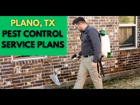 Stunning Pest Control Plano Tx Photos