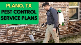Plano TX Pest Control Update: Affordable Pricing, New Plans, & 5-Star Service