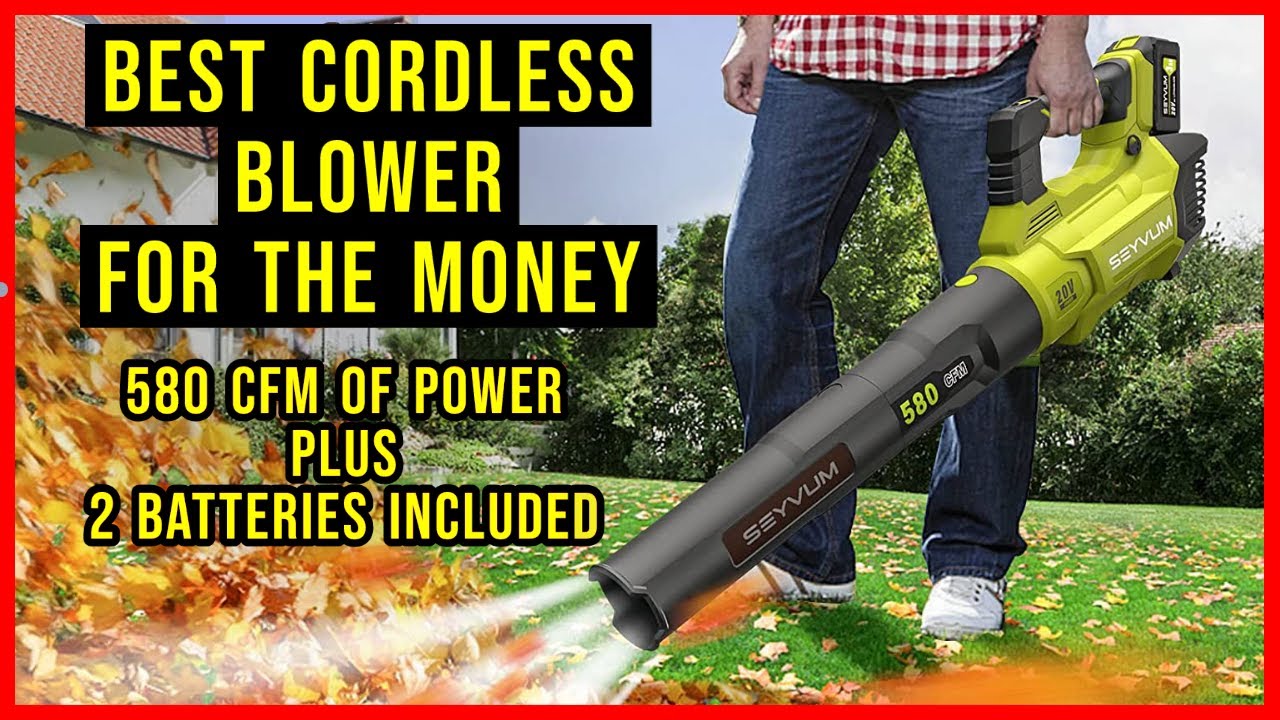 20V Cordless Leaf Blower – SEYVUM