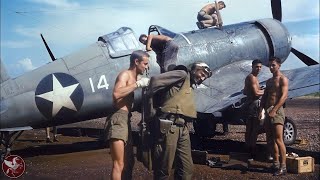 Celebrity THE BLACK SHEEP SQUADRON: Misfits Who Ruled The WWII Pacific Skies. The Legend Of VMF-214 Profile