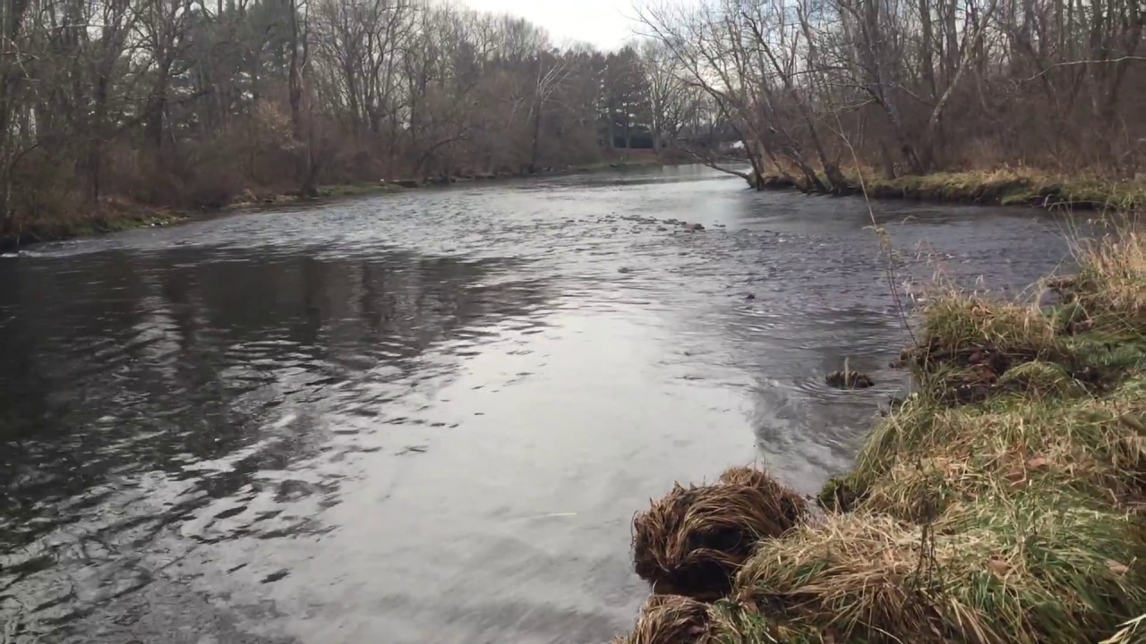 Old Stoney Creek Rd Land for Sale Carter County YouTube