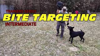 Introduction to bite targeting