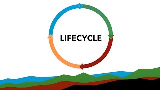 The Project Lifecycle: Partnership at Every Step