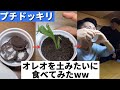 オレオを土みたいに食べた時の相方の反応がww　【ドッキリ】#shorts