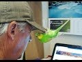 Is this budgie a good boy  pedro 15  liz kreate