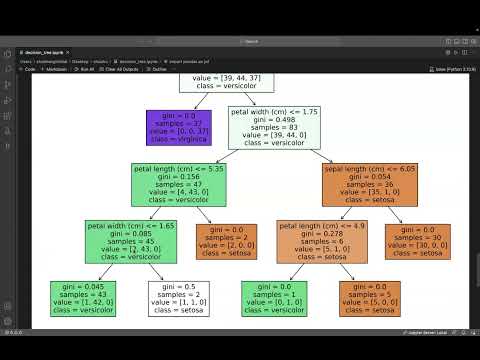 decision tree on iris dataset