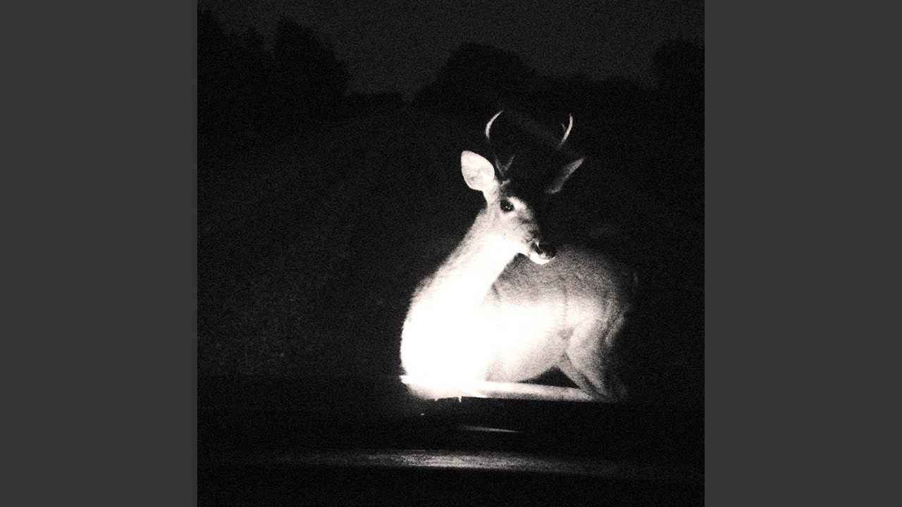 Watch roadkill on YouTube Watch roadkill on YouTube