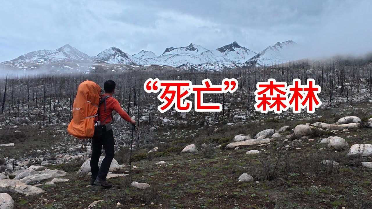 （八）徒步穿越“死亡森林”，从荒野回到人间Hike through the 