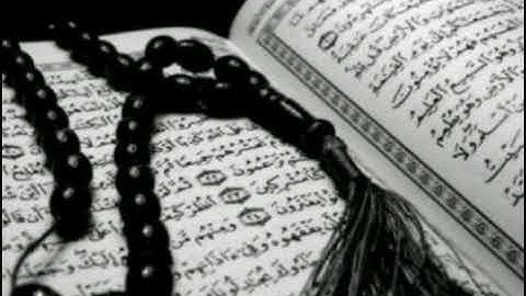 سورة القلم بصوت جميل القارئ سالم الرويلي
