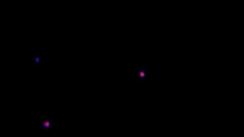 quantum dot blinking