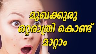 മുഖക്കുരു  ഒറ്റരാത്രി കൊണ്ട് മാറ്റം | How To Remove Pimples Overnight | Beauty Tips screenshot 2