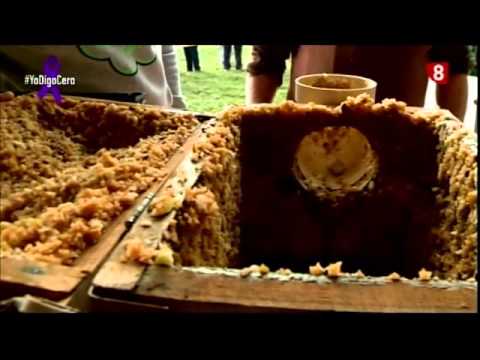 Video: Sidra De Manzana Natural Casera