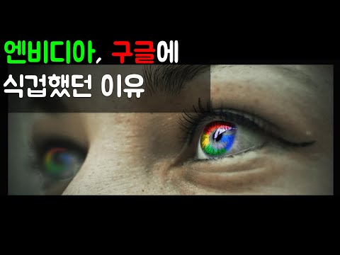 엔비디아가 구글에 쫄린 이유 | 반도체 업계의 역사적 사건