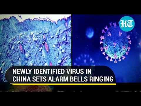 New Langya virus sickens dozens in China, symptoms include impaired liver & kidney function