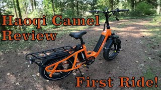 Haoqi Camel Cargo E-Bike Review - Not Wood Turning