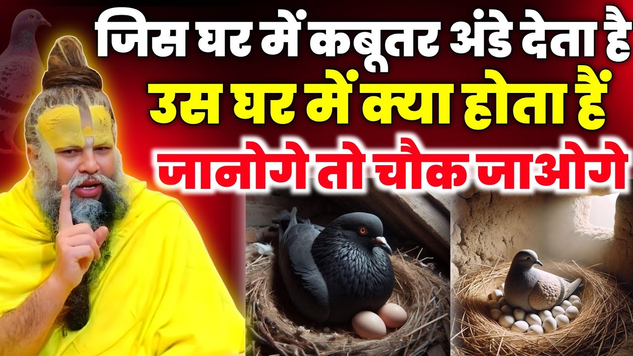 जिस घर में कबूतर अंडे देता है घर में क्या होता है?जानोगे तो भाग्य चमक उठेगा।Premanand Maharaj ji