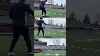 Which One Do You Like?