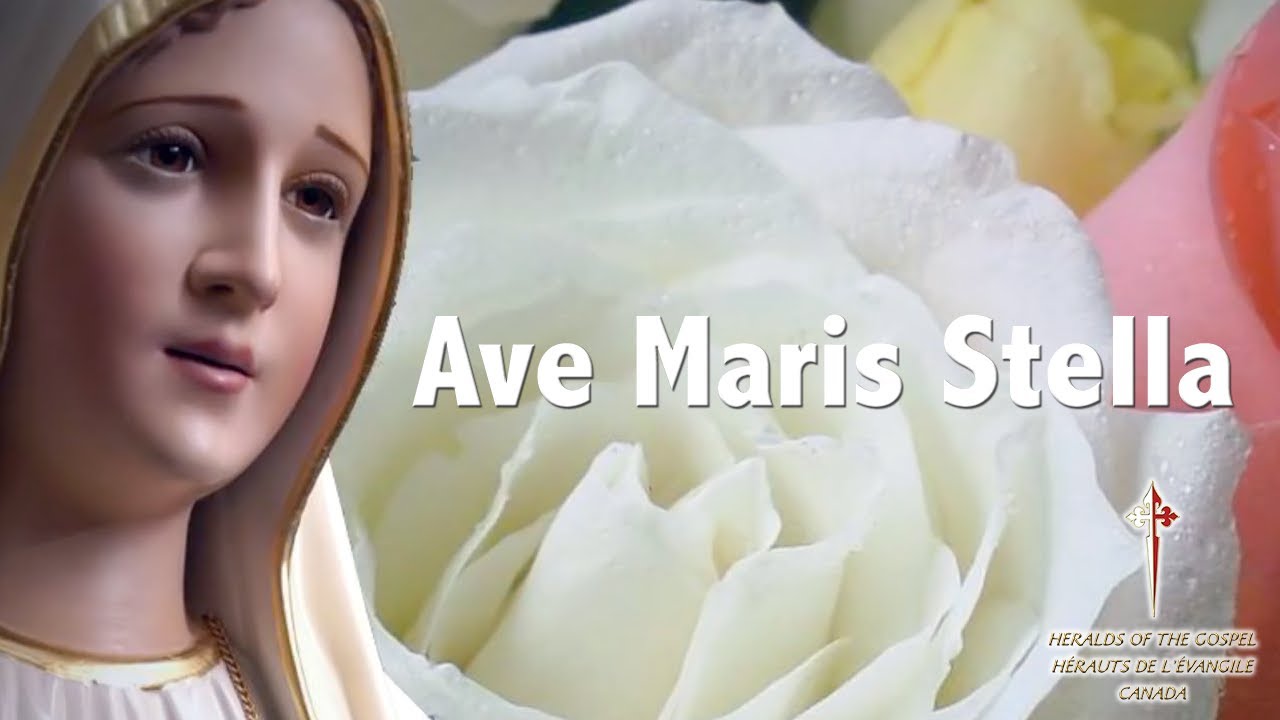 Ave Maris Stella - Heralds of the Gospel - YouTube